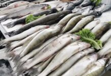 Дагестан и Беларусь представили свою продукцию на рыбной ярмарке в Махачкале