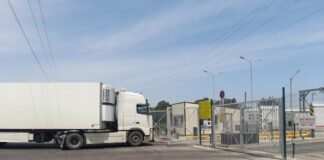 Россельхознадзором пресечен ввоз 93 тонн опасных фруктов и овощей в Дагестан