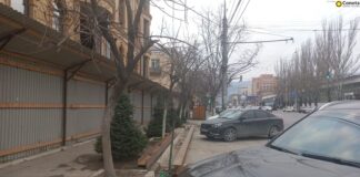 Минприроды Дагестана проверило информацию о возможной вырубке деревьев на проспекте Гамидова