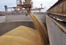 50 000 тонн зерна отправлено из Махачкалы в Иран за три недели марта