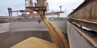 50 000 тонн зерна отправлено из Махачкалы в Иран за три недели марта