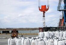 Махачкалинский порт увеличивает объёмы грузоперевозок с Ираном