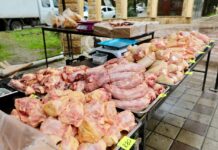 В столице Дагестана стартовала международная агропромышленная ярмарка «Содружество»