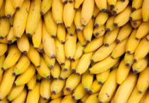 В России приняли ГОСТ на бананы