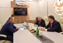 От инвестиционного потенциала до драйвера экономики