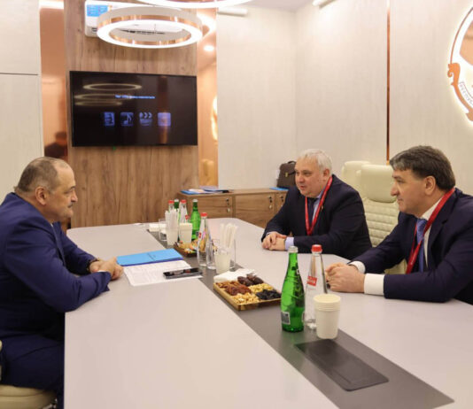 От инвестиционного потенциала до драйвера экономики