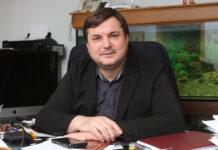 Тимур Магомедов: «СТД станет действенным инструментарием для развития»