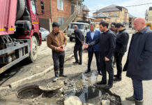 Выездная инспекция