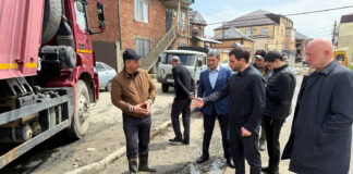 Выездная инспекция