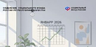 В Дагестане 200 самозанятых с начала года подключились к программе оплачиваемых больничных
