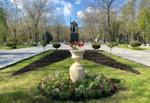 Махачкала преображается: тысячи деревьев и цветов к лету