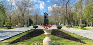 Махачкала преображается: тысячи деревьев и цветов к лету