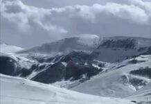 В Кулинском районе Дагестана из-за непогоды погибло 250 голов скота, власти готовятся ввести ЧС