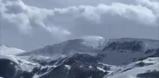 В Кулинском районе Дагестана из-за непогоды погибло 250 голов скота, власти готовятся ввести ЧС