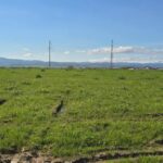 IMG_20260418_144123_249