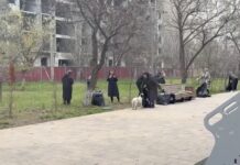 Коллектив «Махачкалинских известий» участвует в благоустройстве города