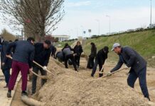 В Махачкале восстанавливают Аллею медиков после удара стихии