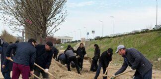 В Махачкале восстанавливают Аллею медиков после удара стихии