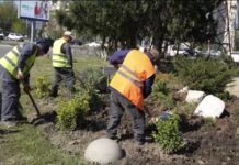 Улицы Махачкалы украшают яркими ландшафтными композициями