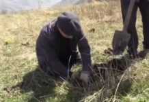 Масштабное озеленение в Хрюгском лесу: высажено 4 тысячи саженцев