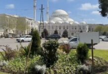 В Махачкала активно высаживают новые клумбы цветов