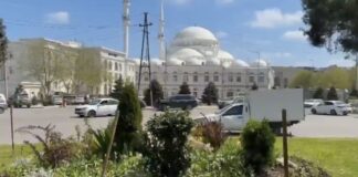 В Махачкала активно высаживают новые клумбы цветов