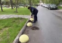 Махачкала поддержала Всероссийский субботник: чистота в новых скверах и выбор будущих проектов