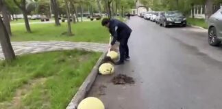 Махачкала поддержала Всероссийский субботник: чистота в новых скверах и выбор будущих проектов