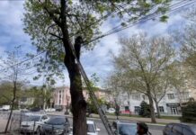 В Махачкале на центральных улицах приводят в порядок кабельные сети