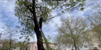 В Махачкале на центральных улицах приводят в порядок кабельные сети