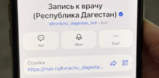 МАХ-имальная эффективность: «Ростелеком» открыл в Дагестане доступ к медицинским консультациям через национальный мессенджер