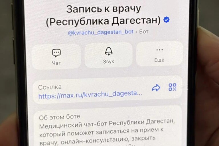 МАХ-имальная эффективность: «Ростелеком» открыл в Дагестане доступ к медицинским консультациям через национальный мессенджер