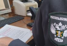 Россельхознадзор в Дагестане прекратил действие декларации о соответствии на молочную продукцию