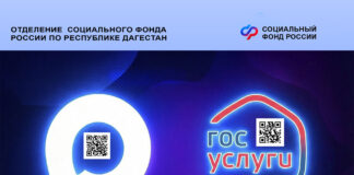 Жители Дагестана могут подтверждать льготы с помощью цифрового удостоверения в приложении MAX