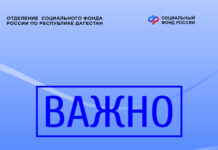 Соцфонд разъяснил: выплата по Чернобылю не связана с компенсацией ущерба от паводков в Дагестане