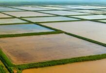 В 2026 году Дагестан реализует около 100 мелиоративных проектов