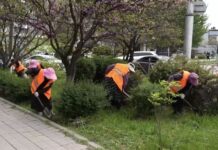 В Махачкале продолжается масштабное обновление зеленого фонда города