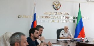 Минсельхозпрод Дагестана и «Кавказ.РФ» обсудили механизмы господдержки малых фермерских хозяйств