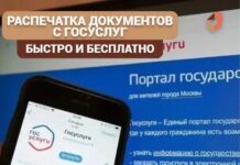 Документы с Госуслуг теперь можно распечатать и заверить в МФЦ