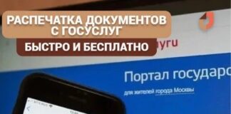 Документы с Госуслуг теперь можно распечатать и заверить в МФЦ
