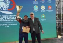 Дагестанские животноводы вернулись с выставки племенных овец и коз с более чем 40 наградами
