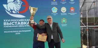 Дагестанские животноводы вернулись с выставки племенных овец и коз с более чем 40 наградами
