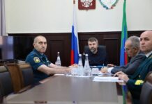 В Дагестане выделили около 50 млн рублей на защиту лесов от пожаров