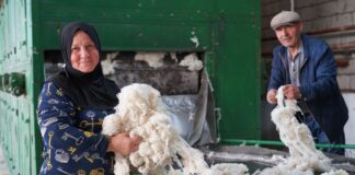 Дагестанская шерсть выходит на международные биржи