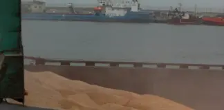 Через порт Махачкалы с начала года экспортировано свыше 326 тысяч тонн российского зерна