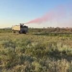 В Кизлярском районе Дагестана своевременно выявлена крупная стая азиатской саранчи