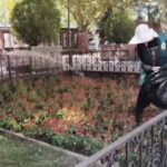 В парках и скверах Махачкалы проводят сезонные работы по содержанию зеленых зон