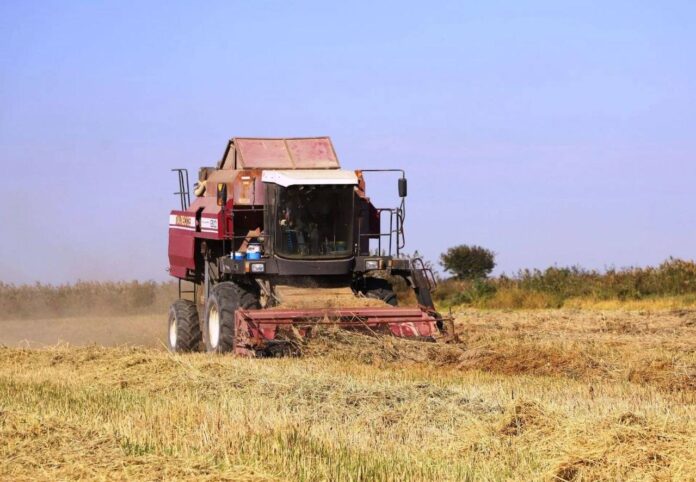 IMG_3747